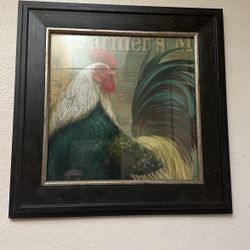 Rooster Picture 