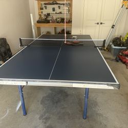 Ping Pong Table 