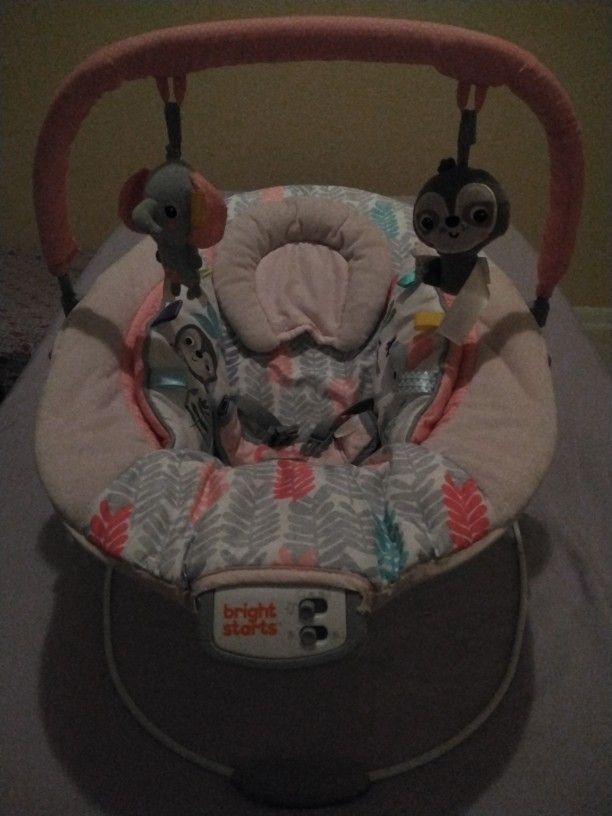 Baby Girl Bouncer