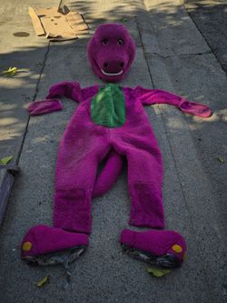 Adult Barney Costume
