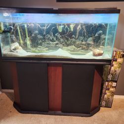 60 Gallon Fish Tank + LED Lights + 2 Water Filters + Air Pump + Other Extras