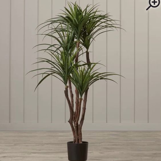 Faux Tropical Yucca Tree In Pot