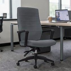 Luray™ Upholstered High Back Chair