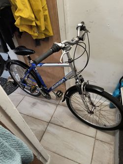 Raleigh SC 30 Hybrid Bike