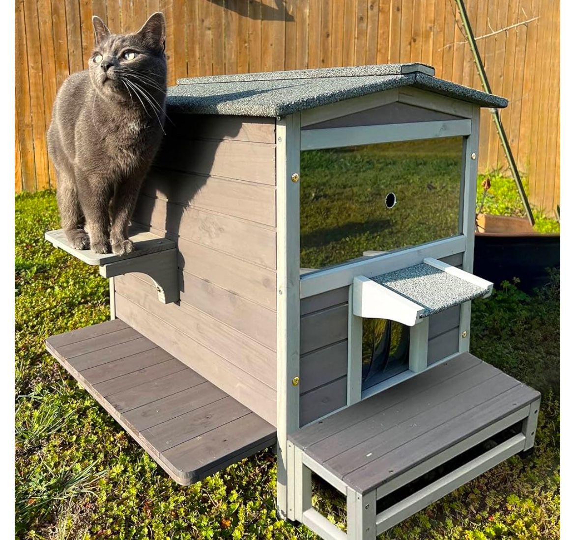 Cat House