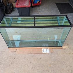 55 Gallon Terrarium 