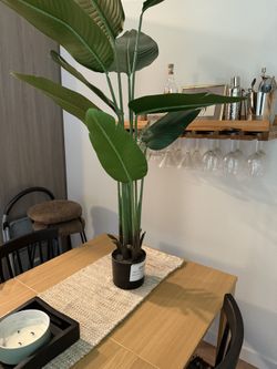 Faux Plant