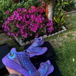 Nike Kobe 3 Low Protro All-Star Warning Label 