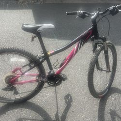 Specialized Bike