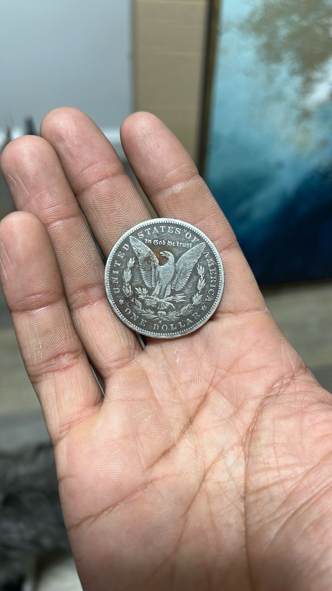 Morgan Coin Dollar