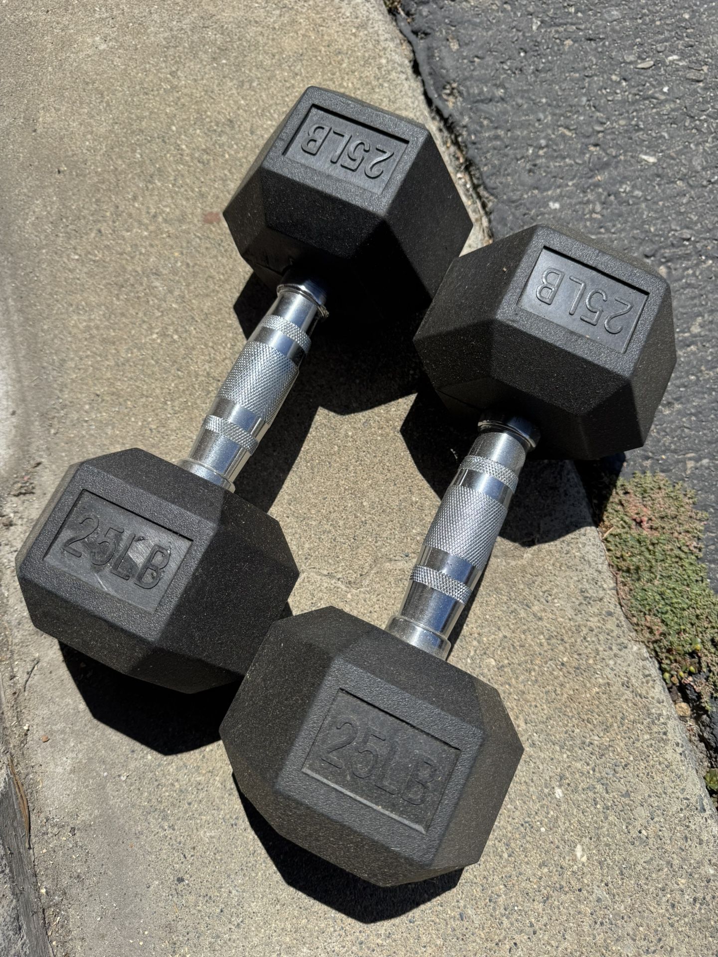 25LB Dumbbell set