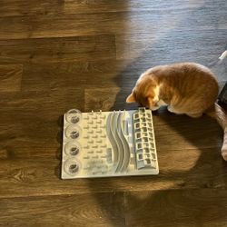 Cat Puzzle Feeder