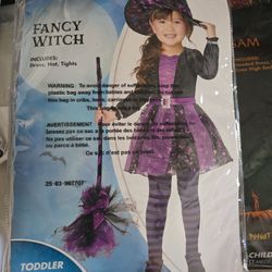 Fancy Witch Halloween Costume 