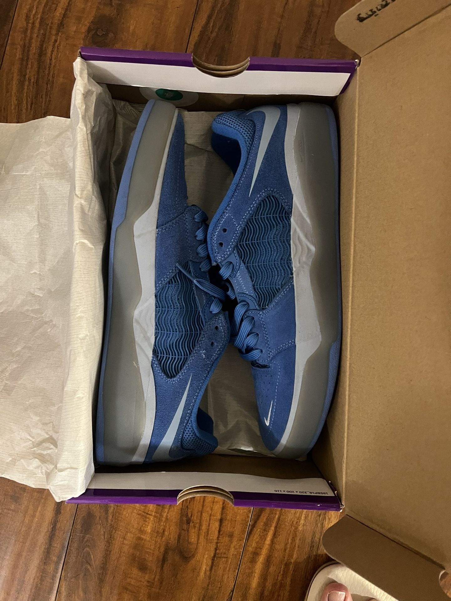 Nike Sb Ishod