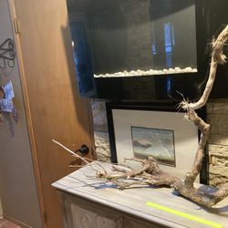 Aquarium /reptile Decor