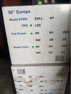 Ceiling fan
