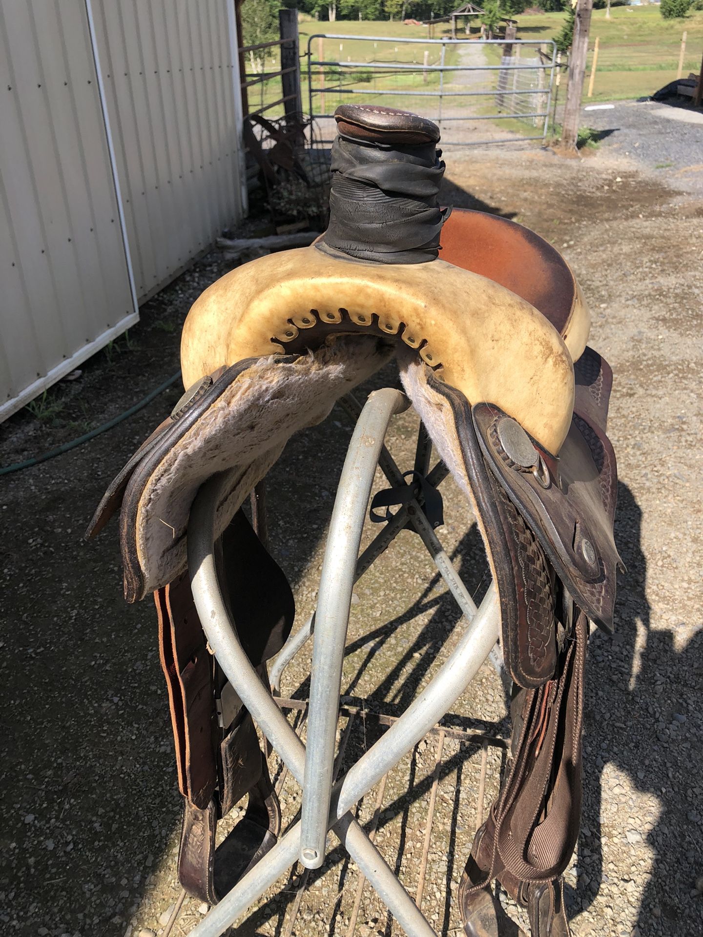 Roping Saddle