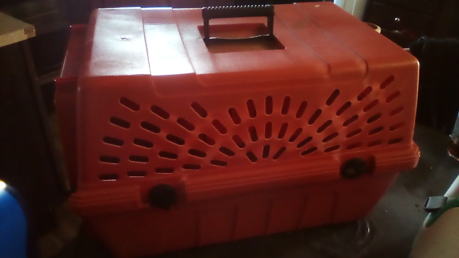 Medium-sized Red Dog Carrier