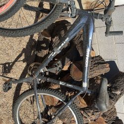 Stinger Mountain bike 