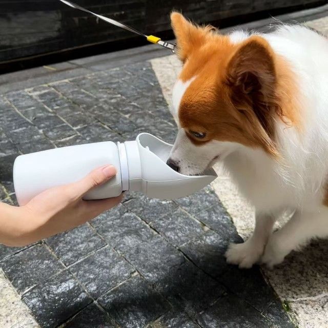 Portable Dog Water Bottle, Travel Dog Water Dispenser, Pet Outdoor Drinking Cup, Puppy Water Feeder for On-the-Go Hydration.-550ml