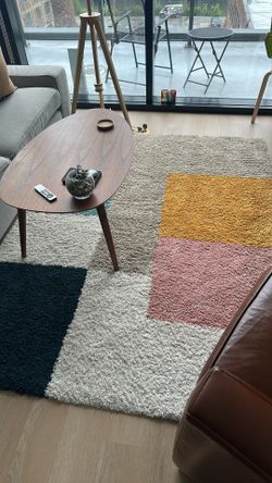 shag area rug 5’x7’