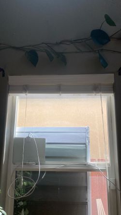 Blinds