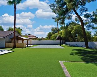 Turf / Artificial Grass