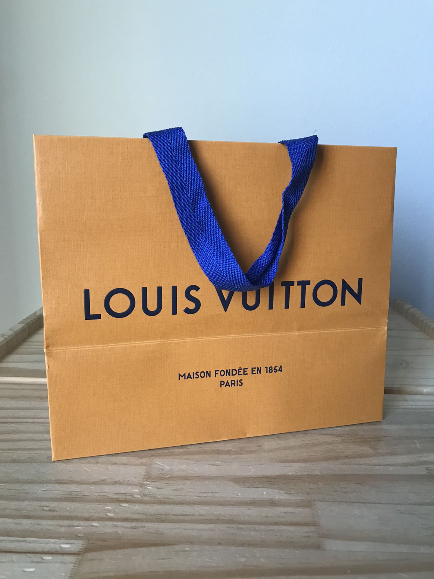 Louis Vuitton Gift Bag (New)