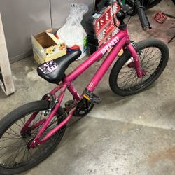Bronco SE BMX Bike