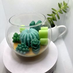 Cactus Bowl 