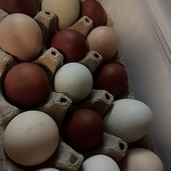 Fresh eggs for sale woodcrest