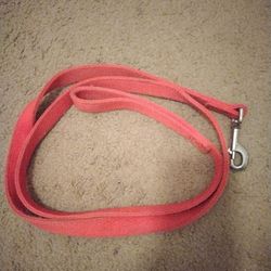 Dog Leash