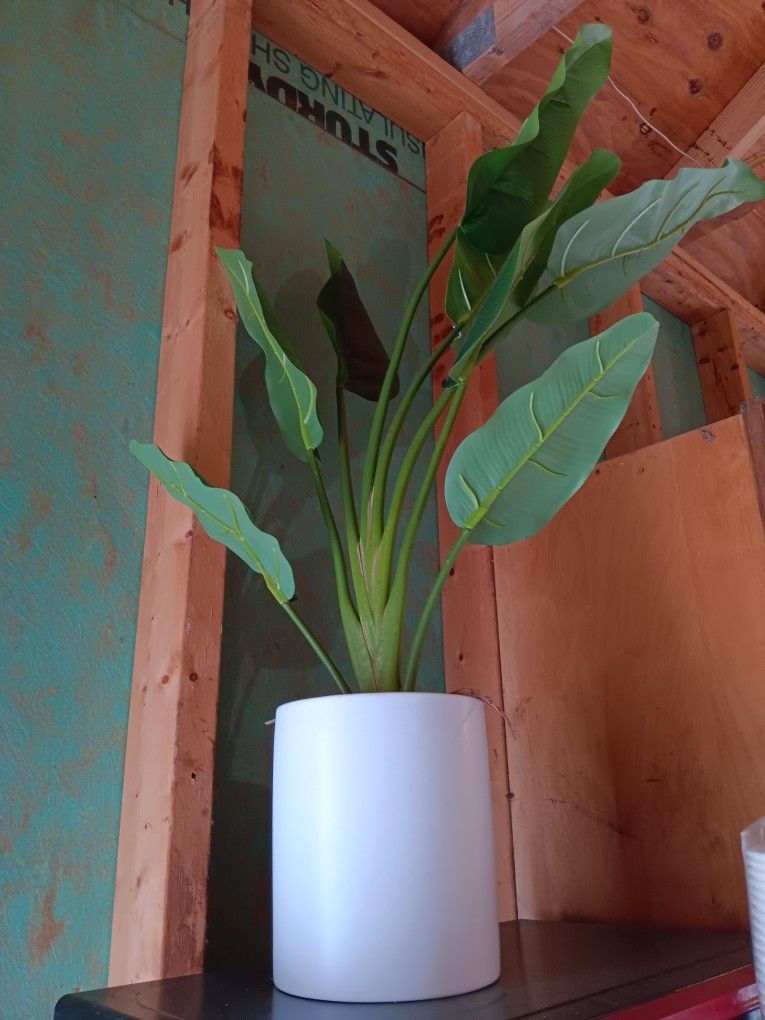 Fake Plants