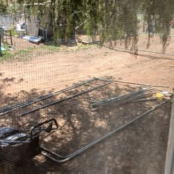 7 X 12 Dog Kennel