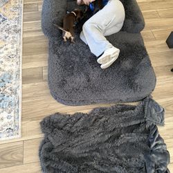 Human Dog Bed