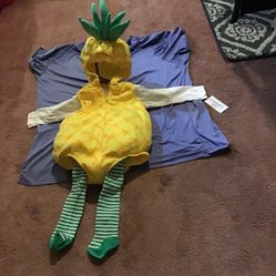 Carters Baby Pineapple Costume.