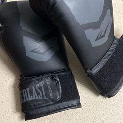 Everlast Boxing Gloves