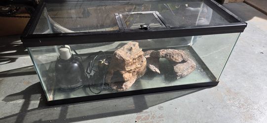 Terrarium Reptile Enclosure