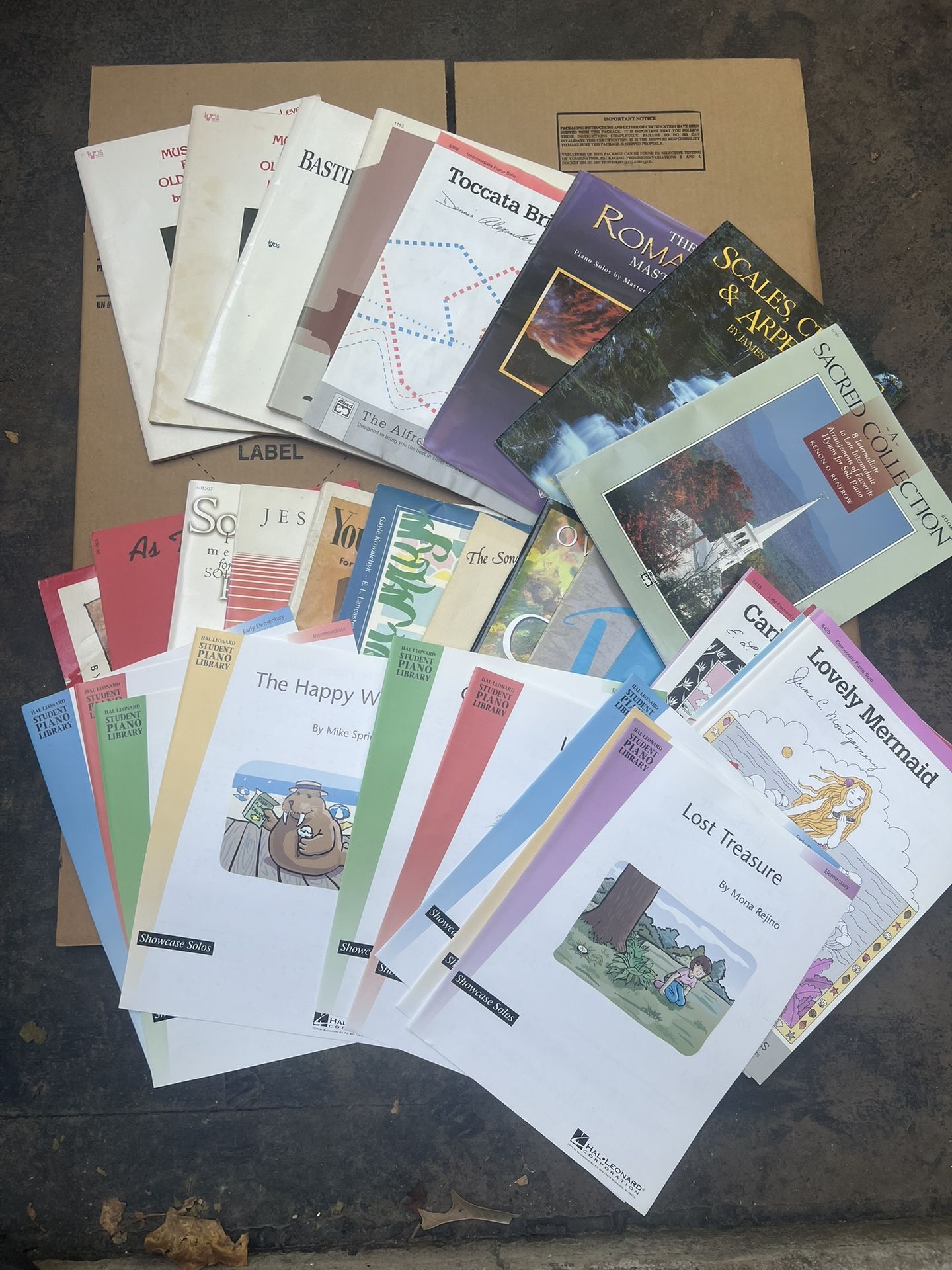 Collection Piano Song Books