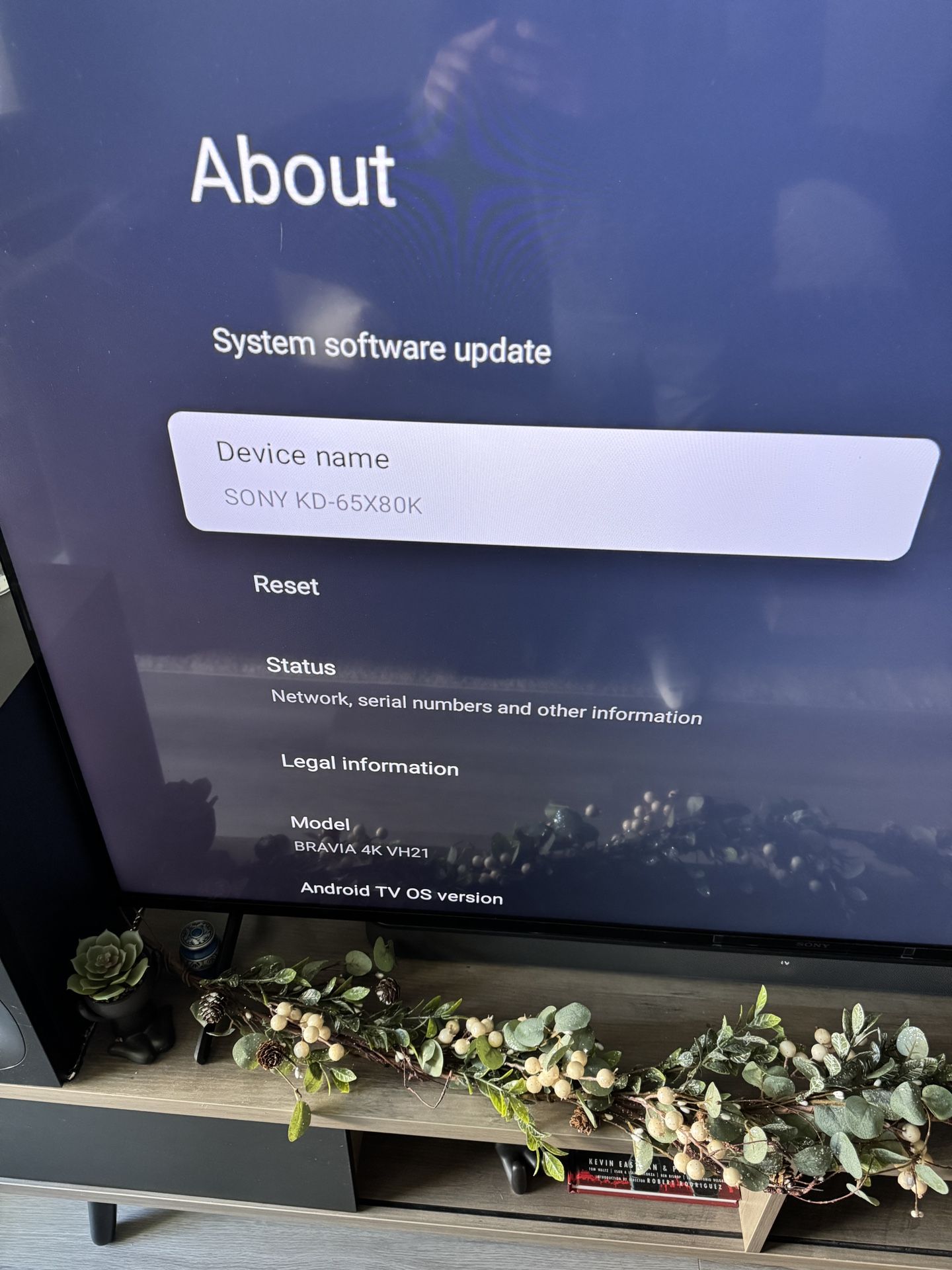 65” Sony 80K TV with Sound Bar And Subwoofer