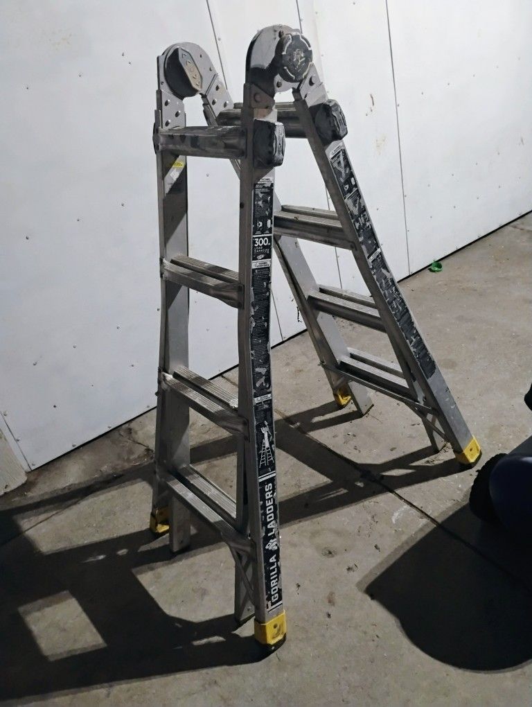 Gorilla Ladder