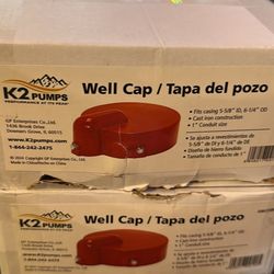 Well Cap