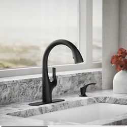 Kohler- Black- Kitchen Sink with soap dispenser