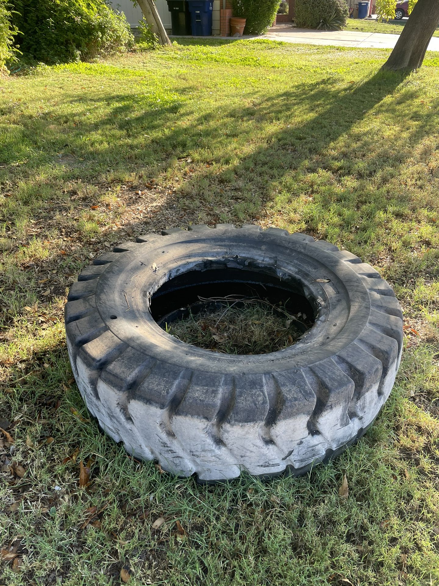 FREE Exercise Tire