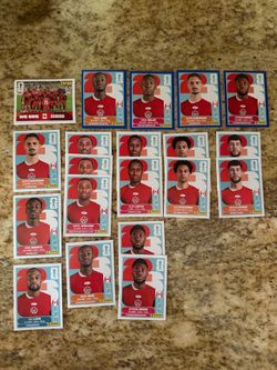 FIFA World Cup Panini Stickers