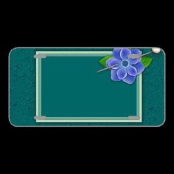 License Plate Novelty Car Front Flower Color Background Design Card