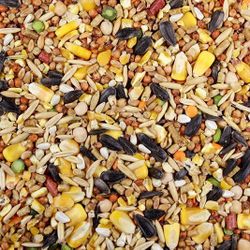 Chicken/rooster Feed 