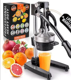 Professional kitchen grade juicer