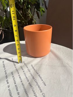 Plant Pot