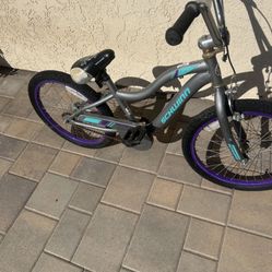Schwinn 20 Inch BMX Bike